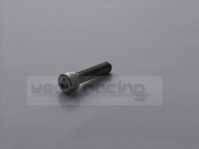 Schrauben M6x25 (7 Stk.)