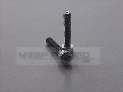 Schrauben M6x30 (2 Stk.)