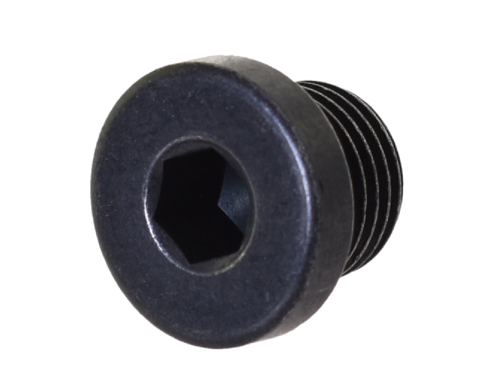 LOCKING PLUG M10X1
