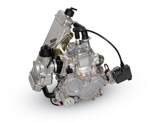 Motor Rotax FR 125 JuniorMAX Evo