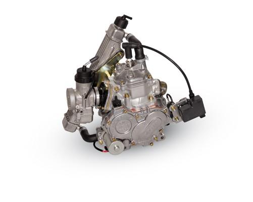 Motor Rotax FR 125 MicroMAX Evo