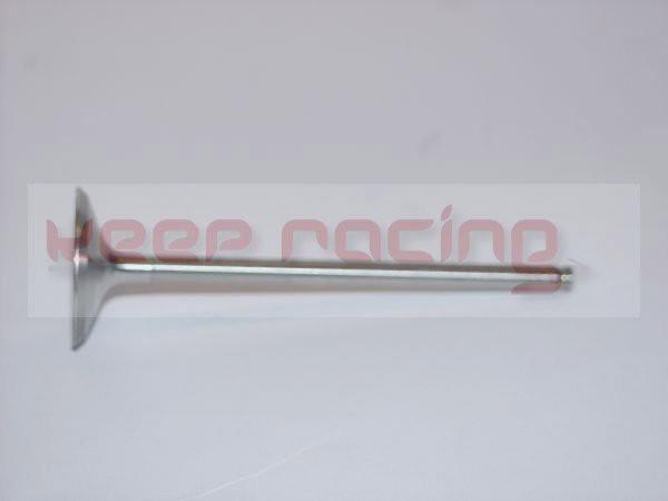 Intake valve (single)