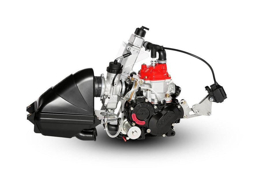 Motor Rotax FR 125 MAX Evo naked, ohne Anbauteile