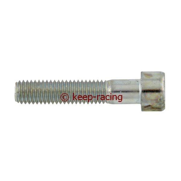 Vis à tête cylindrique M6x30, en métal, zinguée