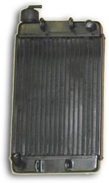 Kühler IAME, 410x200mm (5892)