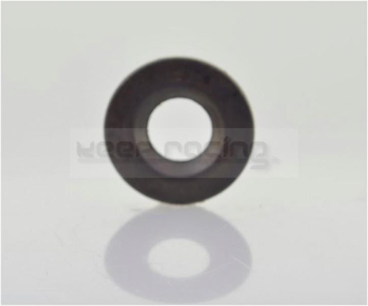 Retaining Washer, Rotax, (227280)
