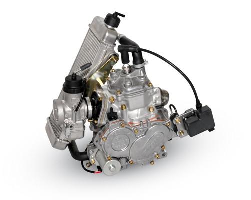 Motor Rotax FR 125 MiniMAX Evo