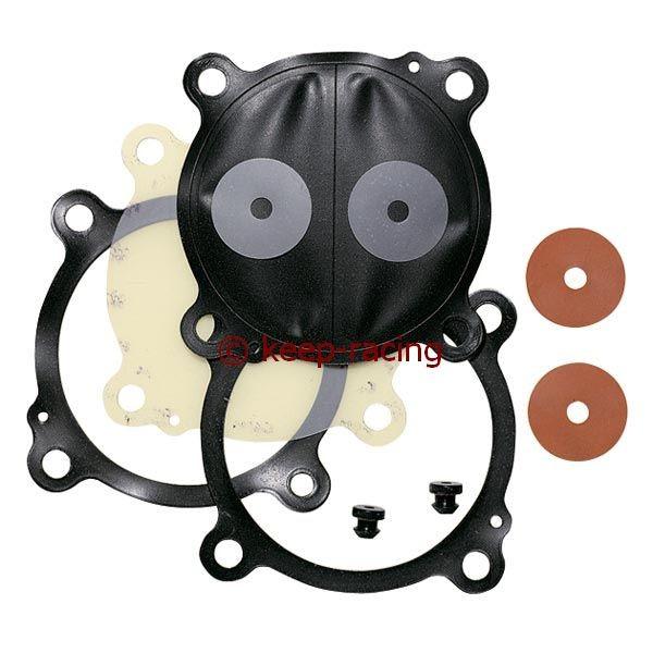 Gasoline Pump Repair Kit (Right/Left)