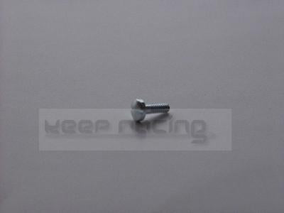 Schlitzschraube für Benzinfilterdeckel M 3,5 x 11 mm