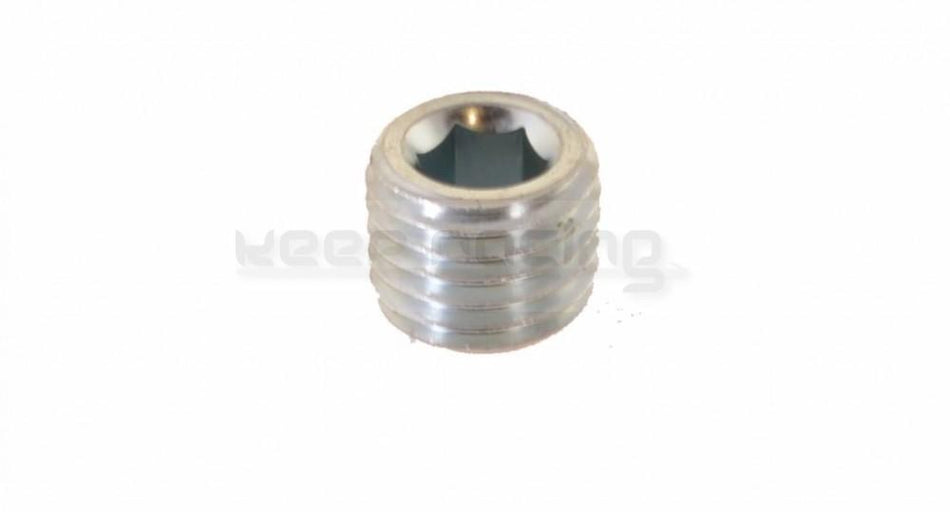 Sealing screw for temperature measurement point