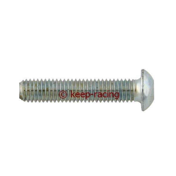 M6x40 pan-head screw, metal, galvanized