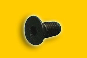 Schraube M5x10 DIN 7991, GA, Leo, X30, (7099)