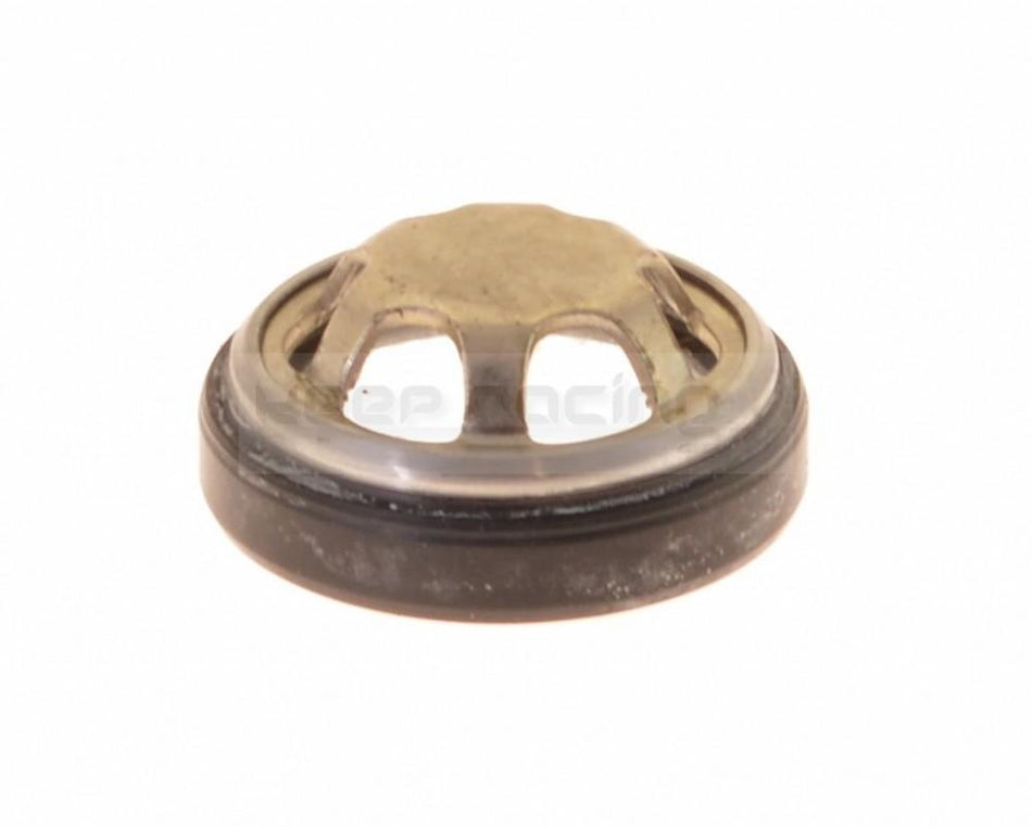 Oil sight glass